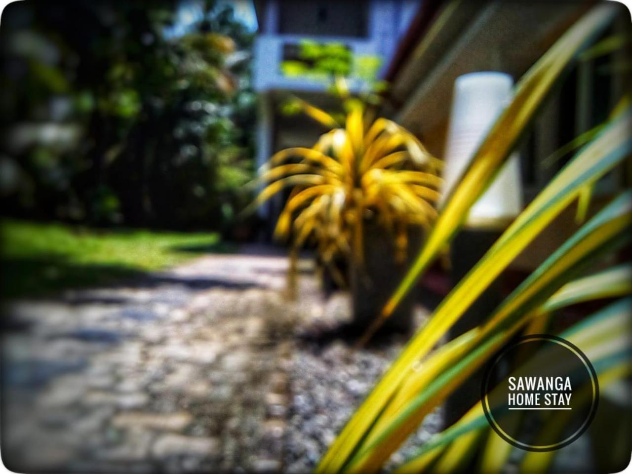 Sawanga Home Stay Weligama Exteriér fotografie