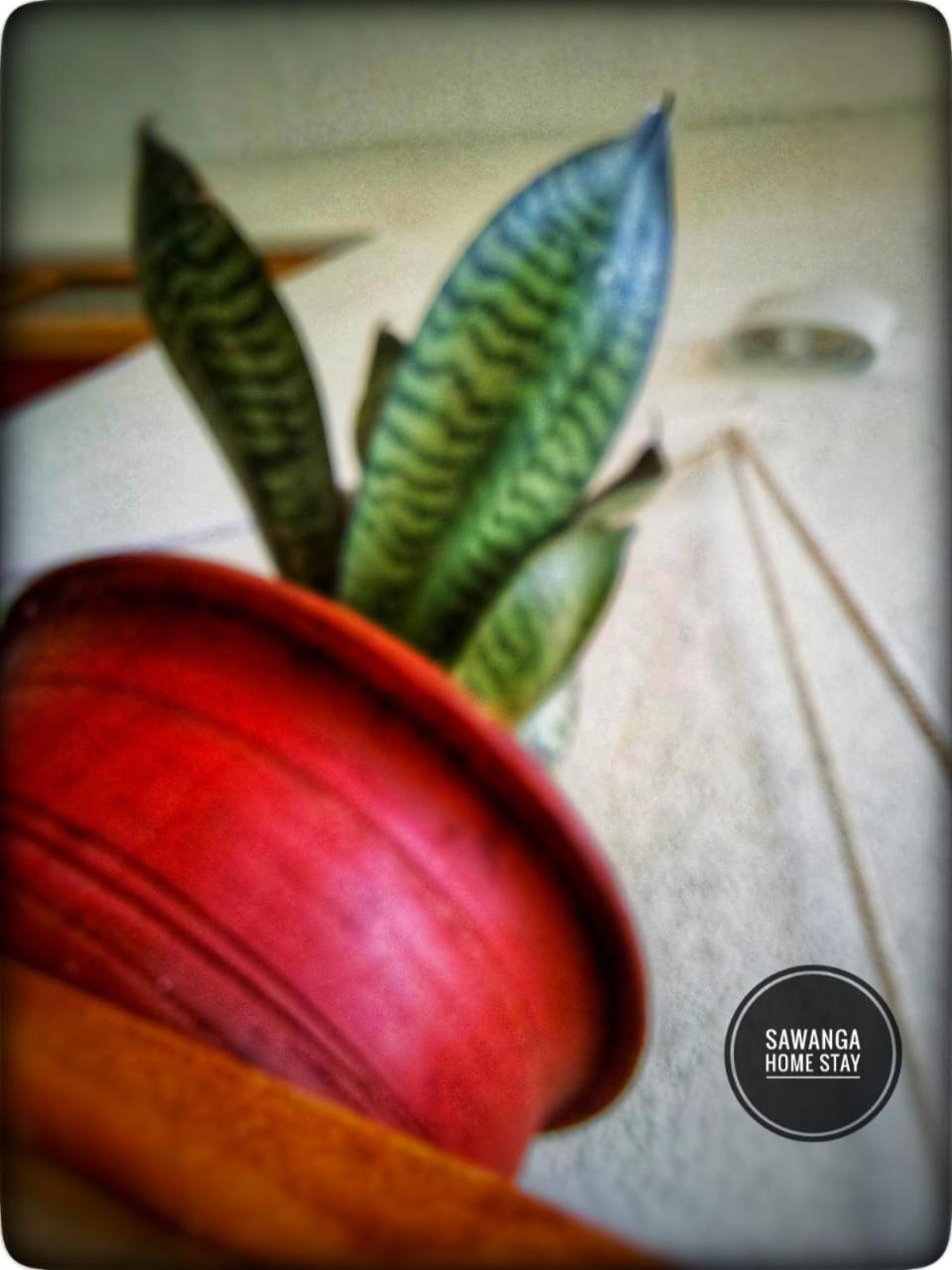 Sawanga Home Stay Weligama Exteriér fotografie